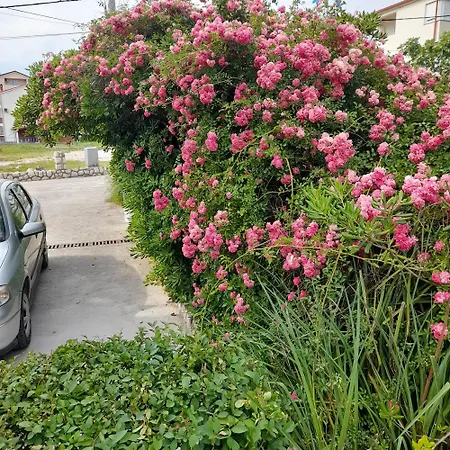 Homestay szállás Antica Boric 139 *
