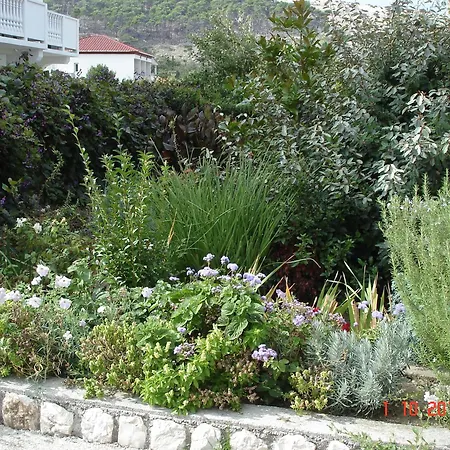 Homestay Antica Boric 139