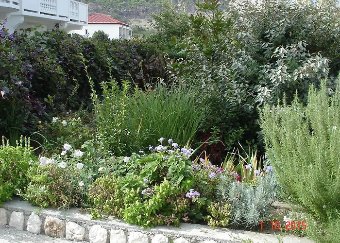 Homestay szállás Antica Boric 139