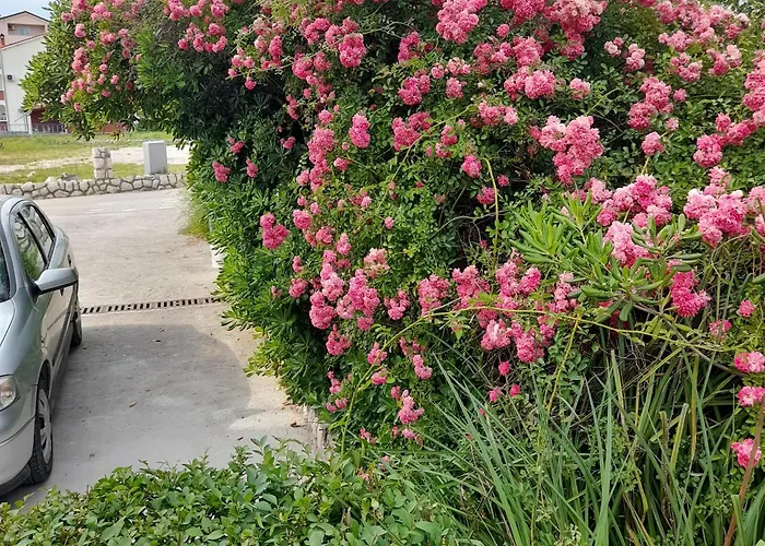 Homestay szállás Antica Boric 139 *